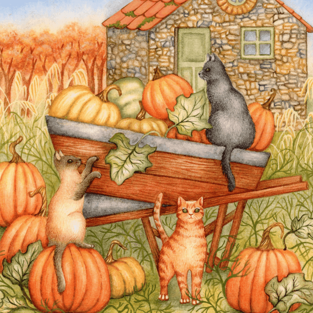 Pumpkin Patch