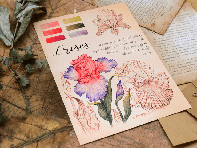 "Iris Flowers" Poster A4