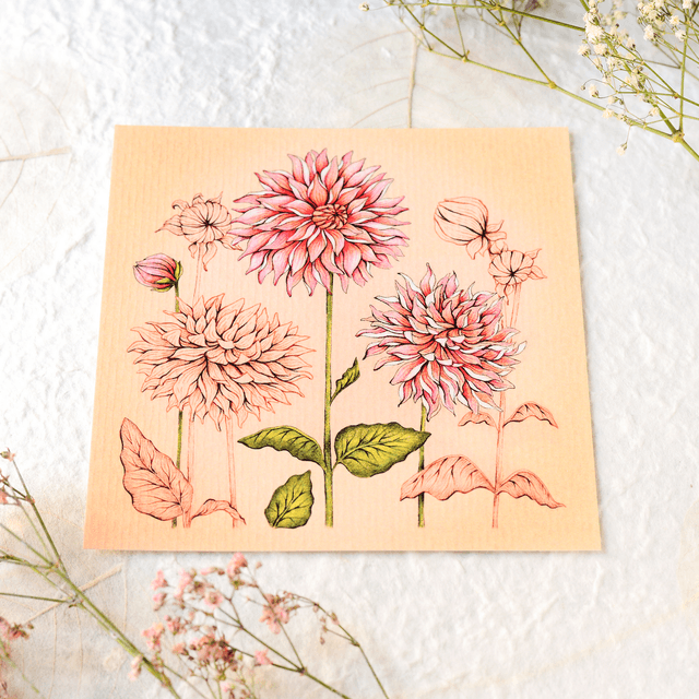 "Dahlia flower" postcard