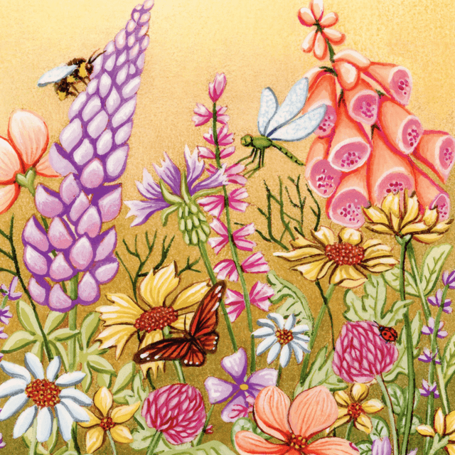Summer Meadow