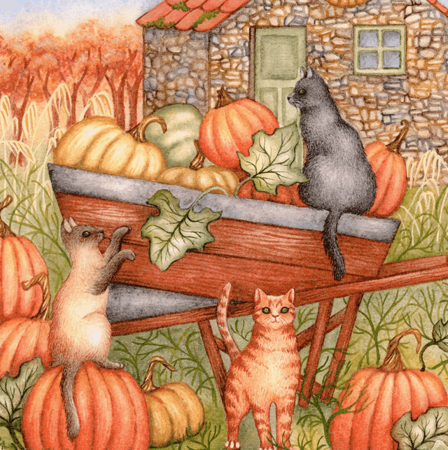 Pumpkin Patch