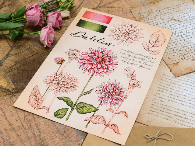 "Dahlia Flowers" Poster A4