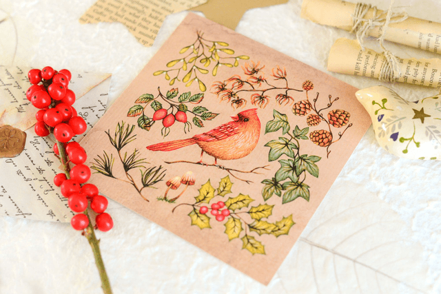 Robin Christmas Card