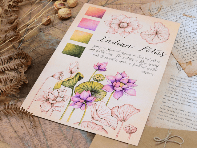 "Indian Lotus" Poster A4