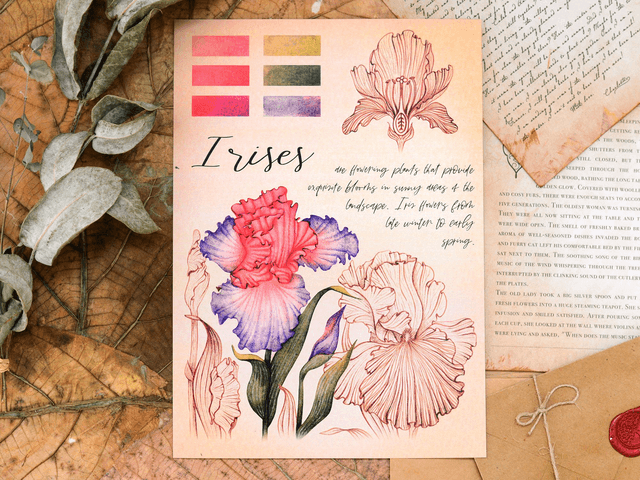 "Iris Flowers" Poster A4