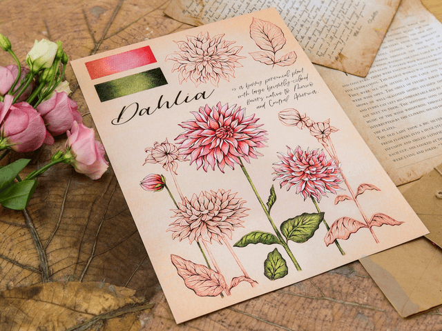 "Dahlia Flowers" Poster A4
