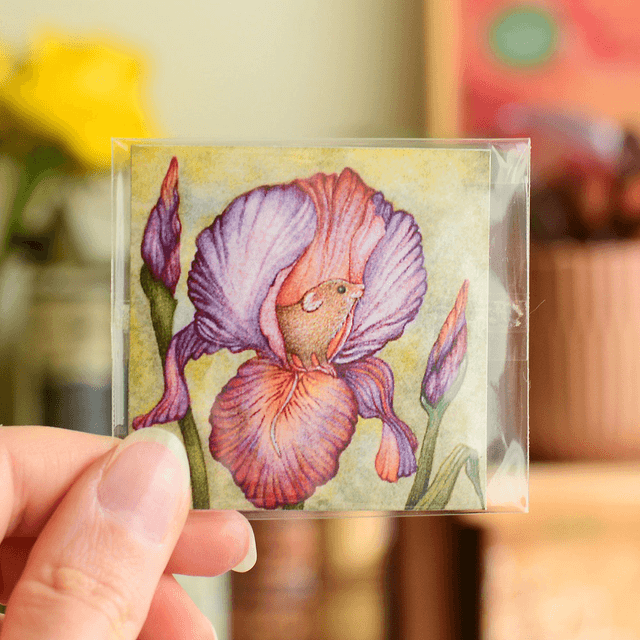 &quot;A Curious Mouse&quot; Magnet