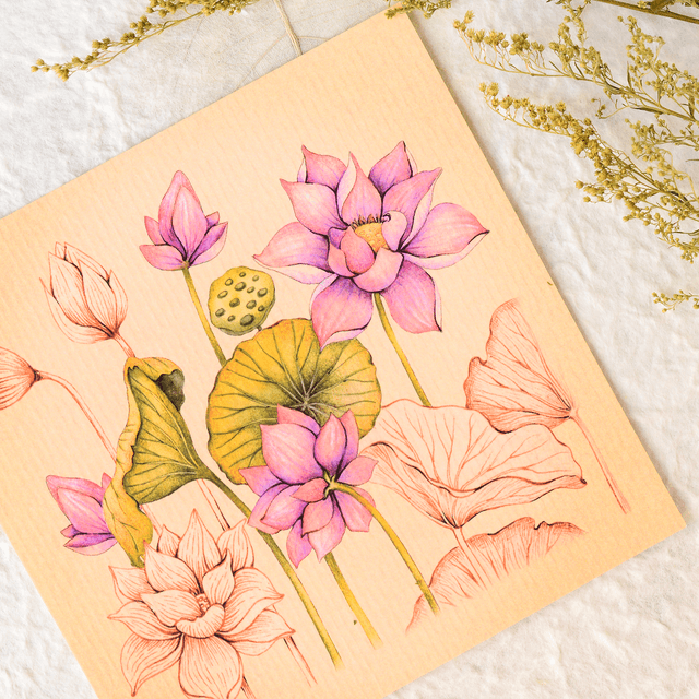 "Indian Lotus" postcard