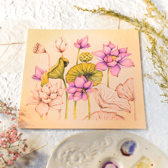 "Indian Lotus" postcard