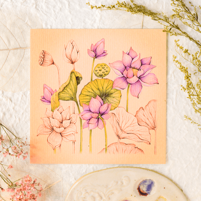 "Indian Lotus" postcard